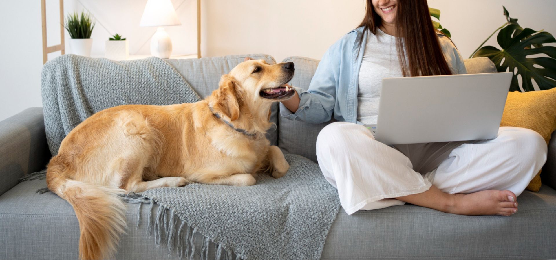 Single Service Page Images (44) Woman with dog using laptop on couch